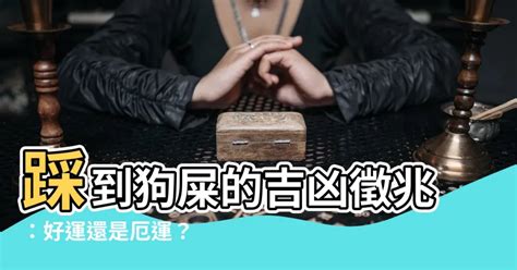 踩狗屎|【踩到狗糞】踩到狗屎的吉凶徵兆：好運還是厄運？